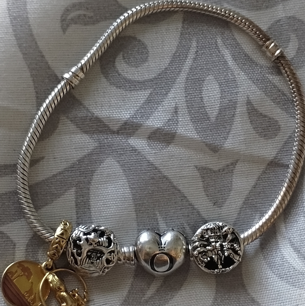 Pandora bracelet and charms